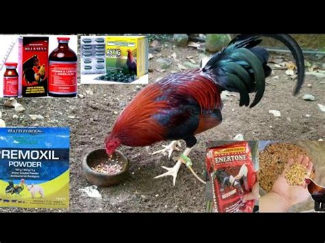 MIXING FEEDS PARA BUMUKA O MAGING BULTO ANG .